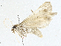  ( - CBG-A00356-E03)  @11 [ ] CreativeCommons - Attribution (2023) CBG Photography Group Centre for Biodiversity Genomics