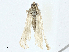  ( - CBG-A00356-E10)  @11 [ ] CreativeCommons - Attribution (2023) CBG Photography Group Centre for Biodiversity Genomics