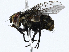  ( - CBG-A00358-C07)  @11 [ ] CreativeCommons - Attribution (2023) CBG Photography Group Centre for Biodiversity Genomics