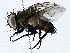  ( - CBG-A00358-D11)  @11 [ ] CreativeCommons - Attribution (2023) CBG Photography Group Centre for Biodiversity Genomics