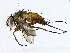  ( - CBG-A00358-E04)  @11 [ ] CreativeCommons - Attribution (2023) CBG Photography Group Centre for Biodiversity Genomics