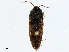  ( - CBG-A00359-D02)  @11 [ ] CreativeCommons - Attribution (2023) CBG Photography Group Centre for Biodiversity Genomics