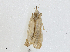  ( - CBG-A00360-C03)  @11 [ ] CreativeCommons - Attribution (2023) CBG Photography Group Centre for Biodiversity Genomics