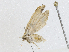  ( - CBG-A00360-C04)  @11 [ ] CreativeCommons - Attribution (2023) CBG Photography Group Centre for Biodiversity Genomics