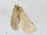 ( - CBG-A00360-C10)  @11 [ ] CreativeCommons - Attribution (2023) CBG Photography Group Centre for Biodiversity Genomics