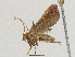  ( - CBG-A00360-D01)  @11 [ ] CreativeCommons - Attribution (2023) CBG Photography Group Centre for Biodiversity Genomics