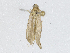  ( - CBG-A00360-D04)  @11 [ ] CreativeCommons - Attribution (2023) CBG Photography Group Centre for Biodiversity Genomics