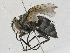  ( - CBG-A00360-F02)  @11 [ ] CreativeCommons - Attribution (2023) CBG Photography Group Centre for Biodiversity Genomics