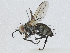  ( - CBG-A00360-F08)  @11 [ ] CreativeCommons - Attribution (2023) CBG Photography Group Centre for Biodiversity Genomics