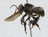  ( - CBG-A00361-A07)  @11 [ ] CreativeCommons - Attribution (2023) CBG Photography Group Centre for Biodiversity Genomics