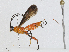  ( - CBG-A00361-C04)  @11 [ ] CreativeCommons - Attribution (2023) CBG Photography Group Centre for Biodiversity Genomics