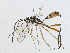  ( - CBG-A00361-C05)  @11 [ ] CreativeCommons - Attribution (2023) CBG Photography Group Centre for Biodiversity Genomics