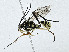  ( - CBG-A01230-G12)  @11 [ ] CreativeCommons - Attribution (2023) CBG Photography Group Centre for Biodiversity Genomics
