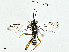  ( - CBG-A01230-H01)  @11 [ ] CreativeCommons - Attribution (2023) CBG Photography Group Centre for Biodiversity Genomics