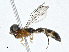  ( - CBG-A01231-D07)  @11 [ ] CreativeCommons - Attribution (2023) CBG Photography Group Centre for Biodiversity Genomics
