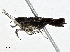  ( - CBG-A01231-E02)  @11 [ ] CreativeCommons - Attribution (2023) CBG Photography Group Centre for Biodiversity Genomics