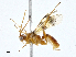  ( - CBG-A01232-A05)  @11 [ ] CreativeCommons - Attribution (2023) CBG Photography Group Centre for Biodiversity Genomics