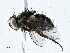  ( - CBG-A01232-G10)  @11 [ ] CreativeCommons - Attribution (2023) CBG Photography Group Centre for Biodiversity Genomics