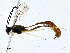  ( - CBG-A01233-D07)  @11 [ ] CreativeCommons - Attribution (2023) CBG Photography Group Centre for Biodiversity Genomics