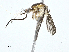  ( - CBG-A01233-H09)  @11 [ ] CreativeCommons - Attribution (2023) CBG Photography Group Centre for Biodiversity Genomics
