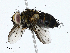  ( - CBG-A02902-A06)  @11 [ ] CreativeCommons - Attribution (2023) CBG Photography Group Centre for Biodiversity Genomics