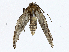  ( - CBG-A02903-B03)  @11 [ ] CreativeCommons - Attribution (2023) CBG Photography Group Centre for Biodiversity Genomics