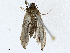  ( - CBG-A02903-D12)  @11 [ ] CreativeCommons - Attribution (2023) CBG Photography Group Centre for Biodiversity Genomics