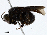 ( - CBG-A02903-G07)  @11 [ ] CreativeCommons - Attribution (2023) CBG Photography Group Centre for Biodiversity Genomics