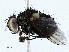  ( - CBG-A02904-G06)  @11 [ ] CreativeCommons - Attribution (2023) CBG Photography Group Centre for Biodiversity Genomics
