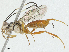  (crypMalaise01 Malaise0768 - CBG-A02906-H02)  @11 [ ] CreativeCommons - Attribution (2023) CBG Photography Group Centre for Biodiversity Genomics