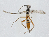  ( - CBG-A02907-A09)  @13 [ ] CreativeCommons - Attribution (2023) CBG Photography Group Centre for Biodiversity Genomics