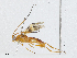  ( - CBG-A02907-B05)  @11 [ ] CreativeCommons - Attribution (2023) CBG Photography Group Centre for Biodiversity Genomics