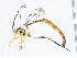  ( - CBG-A02908-E08)  @11 [ ] CreativeCommons - Attribution (2023) CBG Photography Group Centre for Biodiversity Genomics