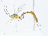  ( - CBG-A02908-E09)  @11 [ ] CreativeCommons - Attribution (2023) CBG Photography Group Centre for Biodiversity Genomics