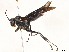  ( - CBG-A01236-H11)  @11 [ ] CreativeCommons - Attribution (2023) CBG Photography Group Centre for Biodiversity Genomics