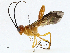  ( - CBG-A00357-G03)  @11 [ ] CreativeCommons - Attribution (2023) CBG Photography Group Centre for Biodiversity Genomics