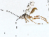  (cryptJanzen01 Malaise3104 - CBG-A00357-G04)  @11 [ ] CreativeCommons - Attribution (2023) CBG Photography Group Centre for Biodiversity Genomics