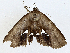  ( - CBG-A01232-B04)  @11 [ ] CreativeCommons - Attribution (2023) CBG Photography Group Centre for Biodiversity Genomics
