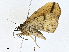  ( - CBG-A01232-B05)  @11 [ ] CreativeCommons - Attribution (2023) CBG Photography Group Centre for Biodiversity Genomics