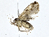  ( - CBG-A01232-B06)  @11 [ ] CreativeCommons - Attribution (2023) CBG Photography Group Centre for Biodiversity Genomics