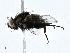  ( - CBG-A01234-E09)  @11 [ ] CreativeCommons - Attribution (2023) CBG Photography Group Centre for Biodiversity Genomics