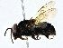  ( - CBG-A01234-F04)  @11 [ ] CreativeCommons - Attribution (2023) CBG Photography Group Centre for Biodiversity Genomics