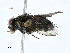  ( - CBG-A01235-D07)  @11 [ ] CreativeCommons - Attribution (2023) CBG Photography Group Centre for Biodiversity Genomics