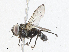 ( - CBG-A02858-B01)  @11 [ ] CreativeCommons - Attribution (2023) CBG Photography Group Centre for Biodiversity Genomics