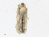 ( - CBG-A02858-B12)  @11 [ ] CreativeCommons - Attribution (2023) CBG Photography Group Centre for Biodiversity Genomics