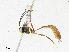  ( - CBG-A02858-F10)  @11 [ ] CreativeCommons - Attribution (2023) CBG Photography Group Centre for Biodiversity Genomics