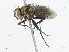  ( - CBG-A04470-B01)  @11 [ ] CreativeCommons - Attribution (2023) CBG Photography Group Centre for Biodiversity Genomics