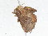  ( - CBG-A04470-G02)  @11 [ ] CreativeCommons - Attribution (2023) CBG Photography Group Centre for Biodiversity Genomics