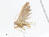  ( - CBG-A04470-G06)  @11 [ ] CreativeCommons - Attribution (2023) CBG Photography Group Centre for Biodiversity Genomics