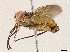  ( - CBG-A04472-C03)  @11 [ ] CreativeCommons - Attribution (2023) CBG Photography Group Centre for Biodiversity Genomics